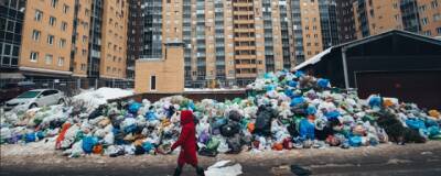 Ответственность за провал мусорной реформы в Петербурге лежит на Беглове