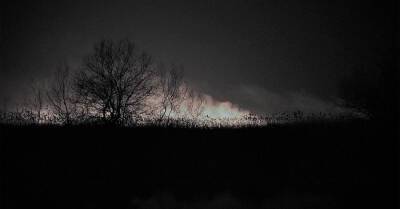 В Одесской области ночью полыхали пожары: погиб скот и горел Национальный парк - kp.ua - Украина - Одесская обл.