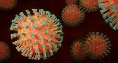 Вирусолог Анатолий Альтштейн озвучил сценарий развития коронавируса в мире