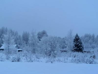 «До - 18°C». Как изменится завтра погода в Смоленской области