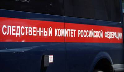 Андрей Матвеев - СК РФ начал проверку по факту нападения сургутского медика на журналистов - newizv.ru - Россия