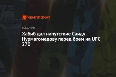 Хабиб дал напутствие Саиду Нурмагомедову перед боем на UFC 270