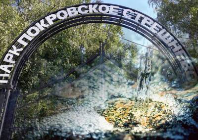 Заповедные родники в Москве могут заменить пластиковыми резервуарами
