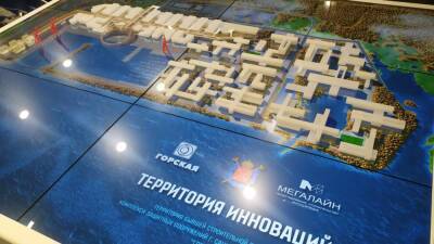 Компания «Мегалайн» хочет инвестировать 186 млрд рублей в развитие транспортной инфраструктуры Петербурга