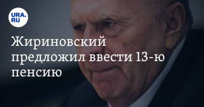 Жириновский предложил ввести 13-ю пенсию