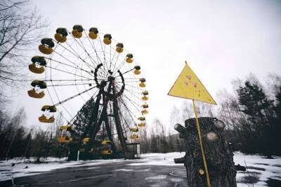 В Чернобыле показали пугающих животных, лишенных важной части тела (фото)