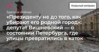 «Президенту не до того, как убирают его родной город»: депутат Вишневский — о состоянии Петербурга, где улицы превратились в каток
