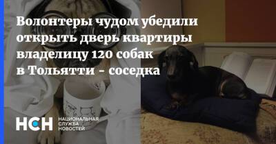 Волонтеры чудом убедили открыть дверь квартиры владелицу 120 собак в Тольятти - соседка - nsn.fm - Тольятти - Тольятти