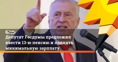 Депутат Госдумы предложил ввести 13-ю пенсию иподнять минимальную зарплату