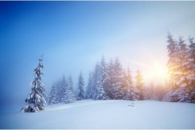 Туман и похолодание до -25 градусов ожидаются в Ленобласти с 23 января