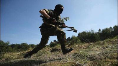 Трое бойцов ВСУ сбежали с позиций в Донбассе