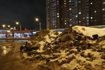 Вице-губернатор Петербурга назвал уборку снега в Центральном районе неудовлетворительной