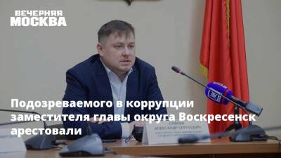 Подозреваемого в коррупции заместителя главы округа Воскресенск арестовали