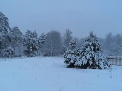 Какой высоты достиг снежный покров в Смоленске