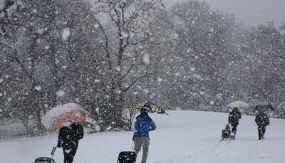 В Украине начало следующей недели начнется со снега и мороза