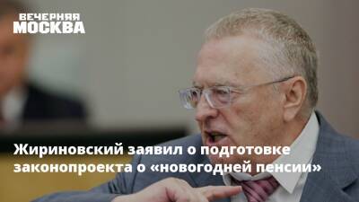 Жириновский заявил о подготовке законопроекта о «новогодней пенсии»