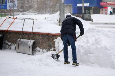 В Новосибирске днем 23 января начнется снегопад