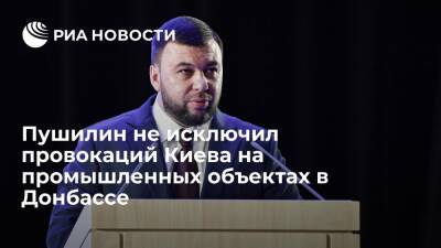 Глава ДНР Пушили не исключил провокаций Киева на промышленных объектах в Донбассе