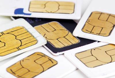 Евгений Кашкин - Эксперт Лысенко рассказал, как часто надо менять SIM-карту - online47.ru - Россия