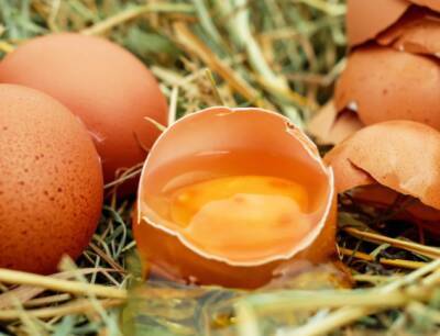 Ученые: Яйца на завтрак повышают риск образования тромбов