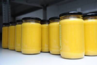 Ученые выяснили, что сосновый мед защищает желудок и снижает давление - volg.mk.ru