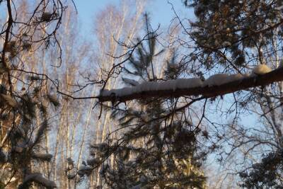 Тридцатиградусные морозы придут в Томскую область в конце января