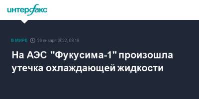 На АЭС "Фукусима-1" произошла утечка охлаждающей жидкости