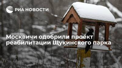 Москвичи одобрили проект реабилитации Щукинского парка и Всехсвятской рощи