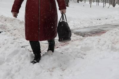 Беглов объяснил проблемы со снегом в Петербурге реформой системы уборки