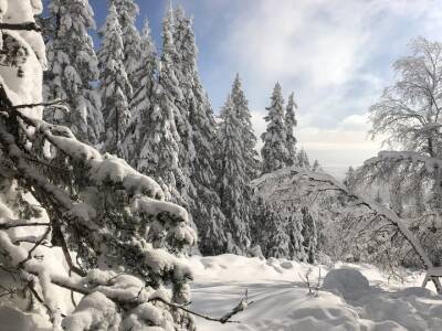 В Башкирии друзья заблудились на снегоходе