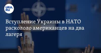 Вступление Украины в НАТО раскололо американцев на два лагеря. «Партнерство с Россией выгодно США»