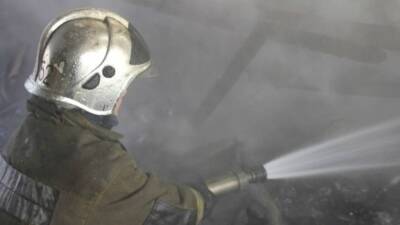 Пожар в частном доме унес жизни двух пенсионеров под Новгородом