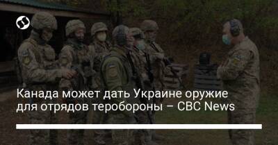 Канада может дать Украине оружие для отрядов теробороны – CBC News