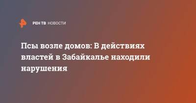 Псы возле домов: В действиях властей в Забайкалье находили нарушения