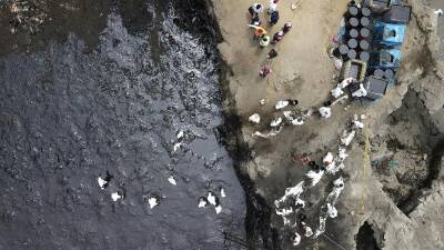 Экологическое бедствие на пляжах Перу
