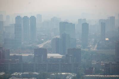 Специалист Greenpeace объяснил, связан ли смог над Екатеринбургом с торфяными пожарами