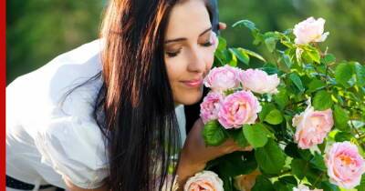 Райский сад: 6 самых ароматных цветов для участка