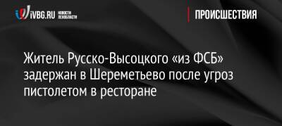 Житель Русско-Высоцкого «из ФСБ» задержан в Шереметьево после угроз пистолетом в ресторане