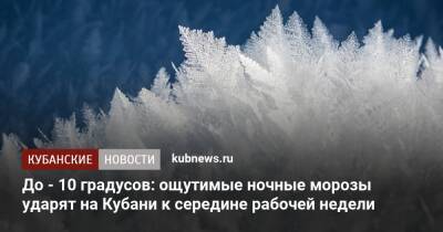 До - 10 градусов: ощутимые ночные морозы ударят на Кубани к середине рабочей недели