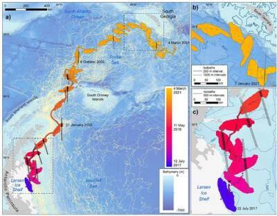 Разрушение шельфовых ледников Антарктики может иметь катастрофические последствия для всей экосистемы