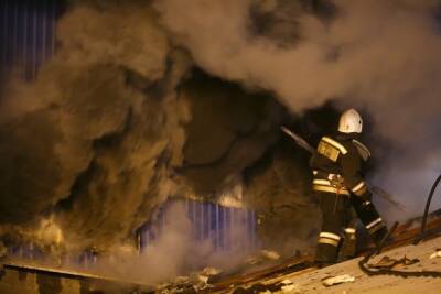 Ночью в Волгоградской области 40 минут тушили пожар в гараже
