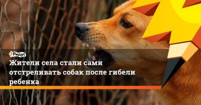 Жители села стали сами отстреливать собак после гибели ребенка - ridus.ru - Россия - Забайкальский край - Чита