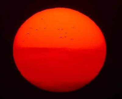 Элиас Готье - Ученые: Раннее Солнце имело систему колец, как у Сатурна - actualnews.org - Россия - Газ