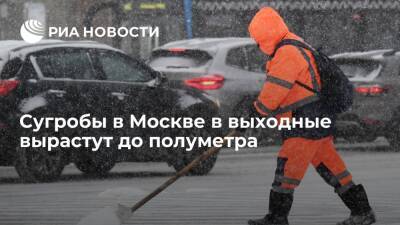 Сугробы в Москве в выходные вырастут до полуметра впервые за зиму