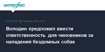 Володин предложил ввести ответственность для чиновников за нападения бездомных собак