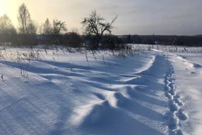 24 января в Смоленске дважды переменится ветер