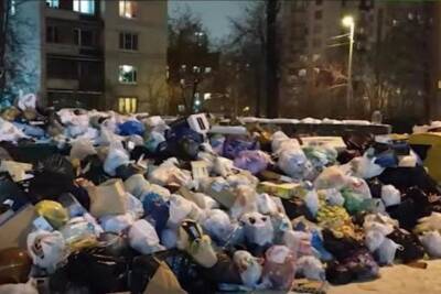 Губернатор Петербурга назвал рынок услуг по уборке в городе полукриминальным