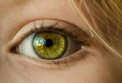 Окулист Селтман назвала негативно влияющие на зрение продукты