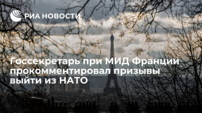 Дмитрий Песков - Эммануэль Макрон - Клеман Бон - В Париже заявили, что выход Франции из НАТО был бы подарком для России - ria - Россия - Украина - Киев - Франция - Румыния - Париж