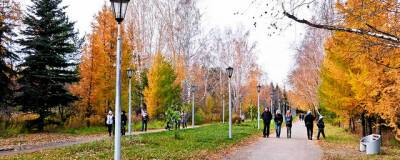 В мэрии Новосибирска утвердили список растений для озеленения города